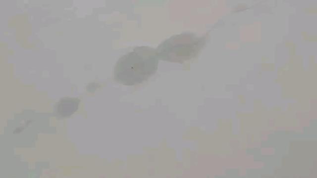 卫生间渗水楼下会渗水吗,楼上卫生间渗水到楼下谁负责