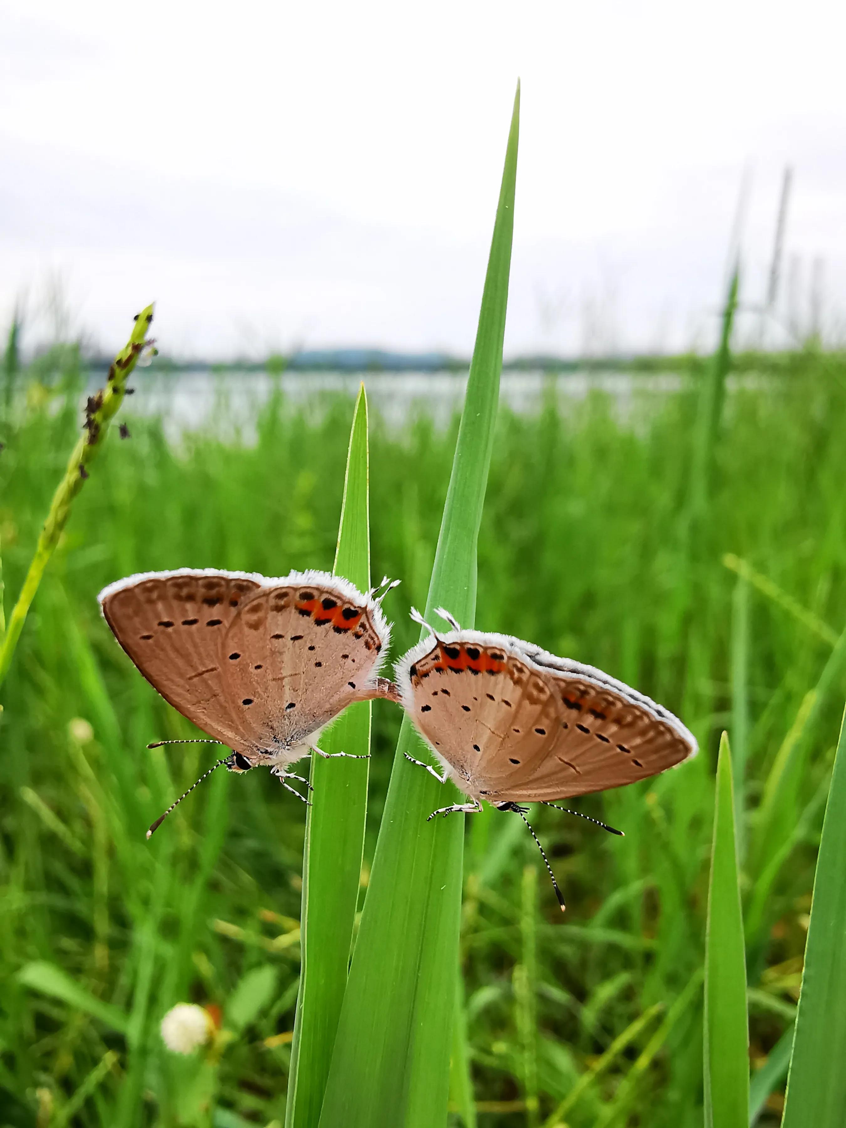 手拍世界投稿,手拍世界作品专集