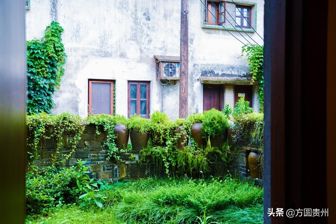 这个夏日，看这个美女如何在浙江乌村的第一百种玩法