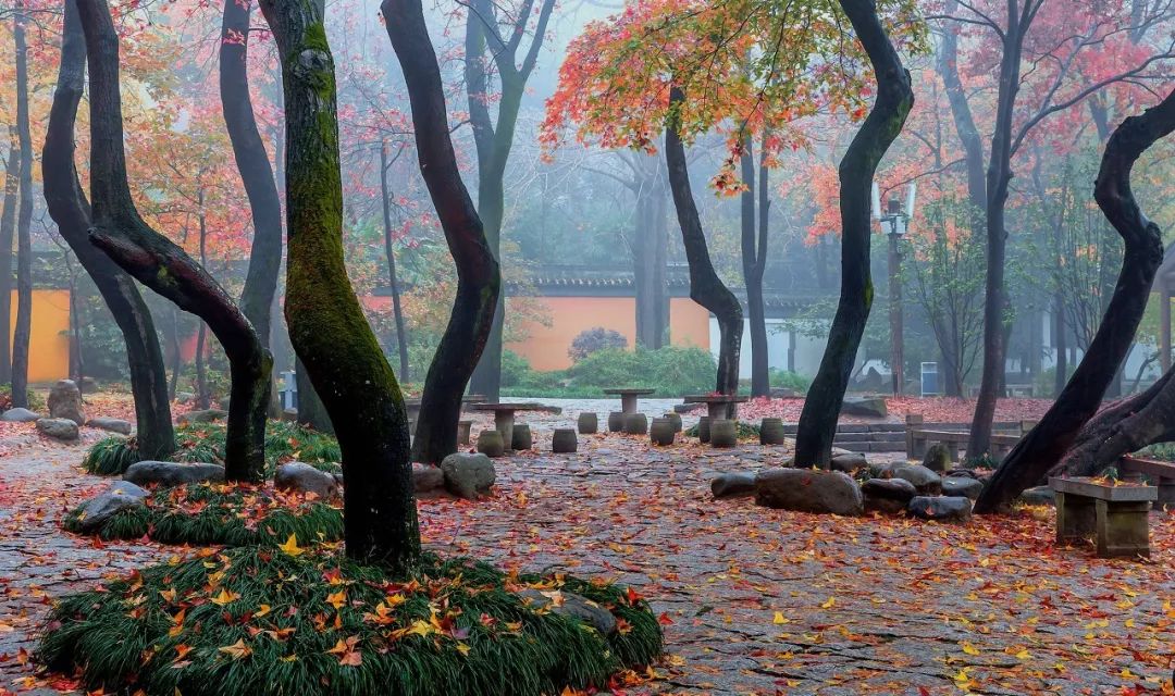 一入秋苏州成姑苏,秋色一入秋苏州就成了姑苏