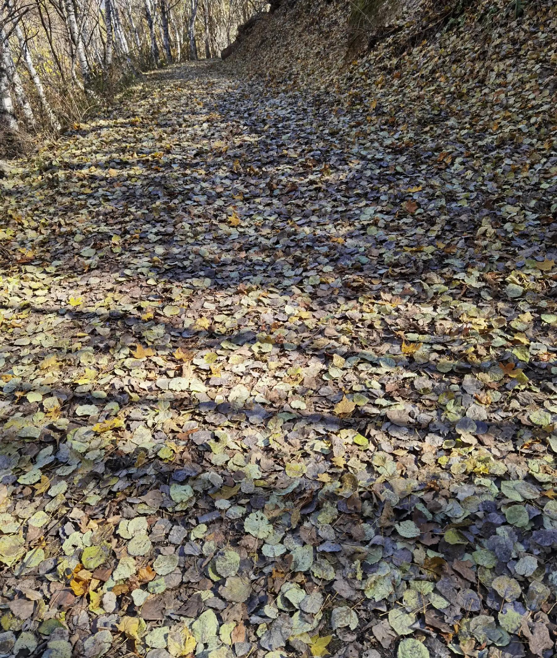 怀柔喇叭沟门原始森林2日自驾游,怀柔喇叭沟门原始森林骑行