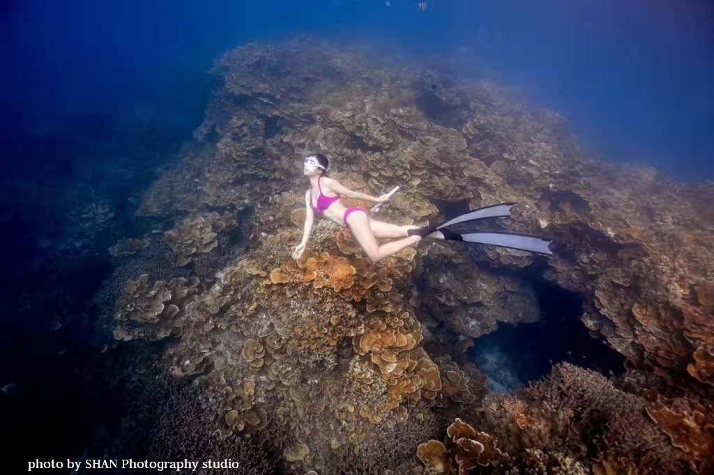帕劳潜水旅游攻略,马尔代夫对比巴厘岛普吉岛帕劳
