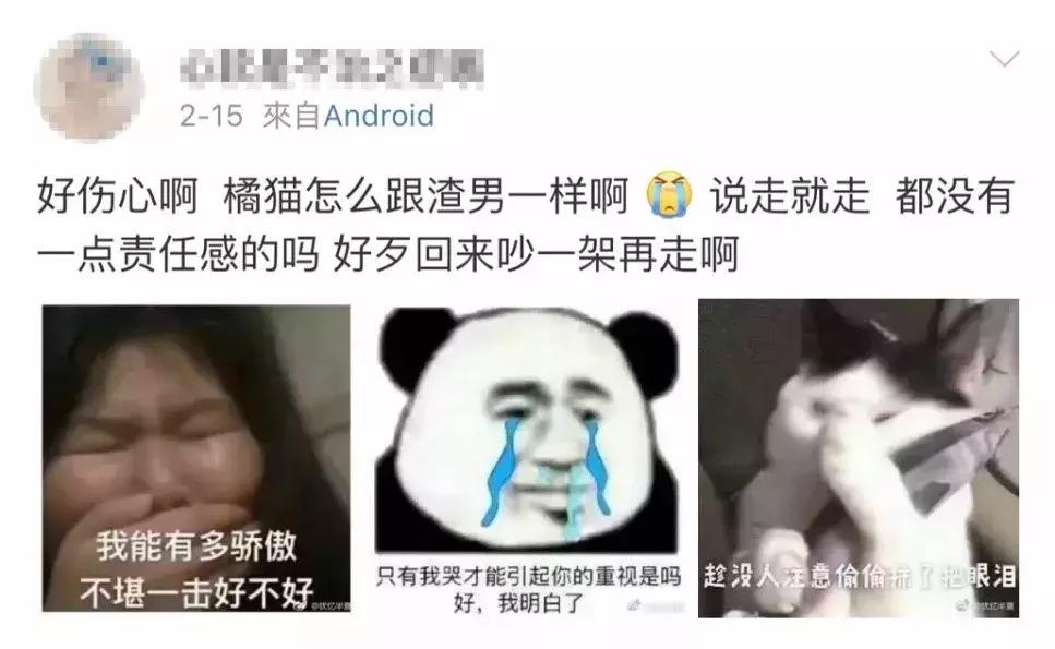 鑷粠鏈変簡鐚不鎰堜簡鎴戠殑鎳掓儼,涓轰粈涔堣姗樼尗鍗佹涔濇福