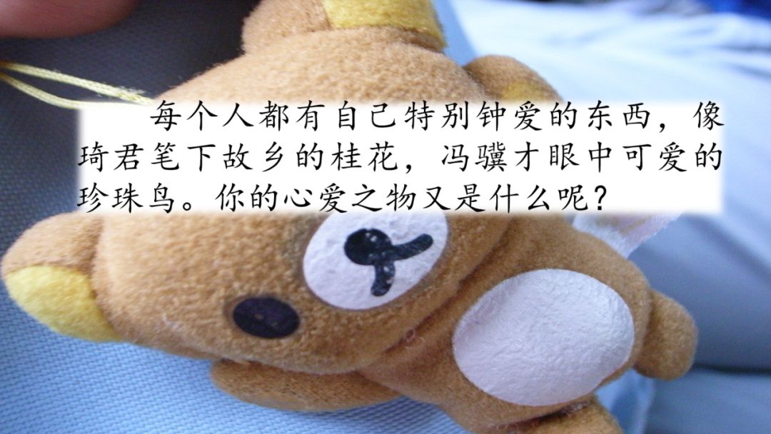作文五年级部编版我的心爱之物,我的心爱之物800字作文五年级上册