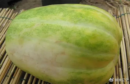 辽宁有什么本地人不知道的农产品,盘点辽宁农产品有哪些