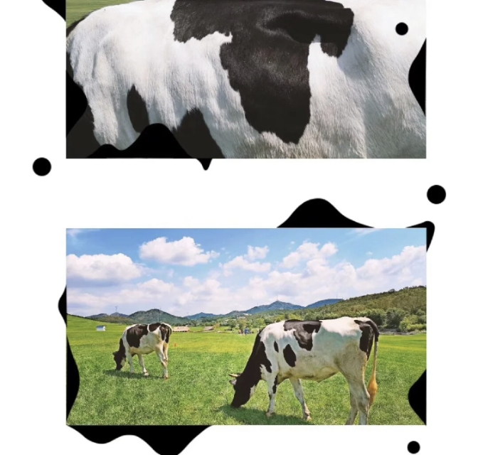 三寰牧场有哪些景点可以玩,三寰牧场亲子露营