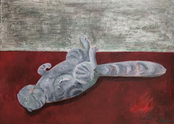 未解之谜大揭秘,未解之谜解说