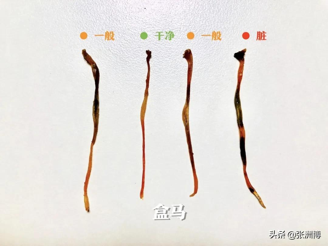 网红红黑榜,今年小龙虾排行榜