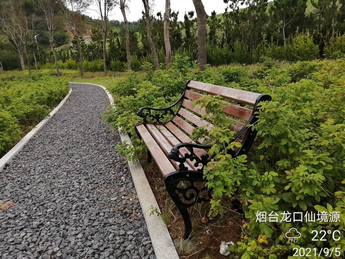 满岛景色看不够，很想留作长岛人