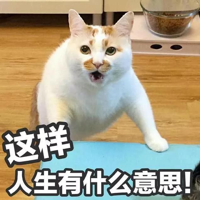 做互联网的留学生落户哪里比较好,互联网和国企哪个更值得去