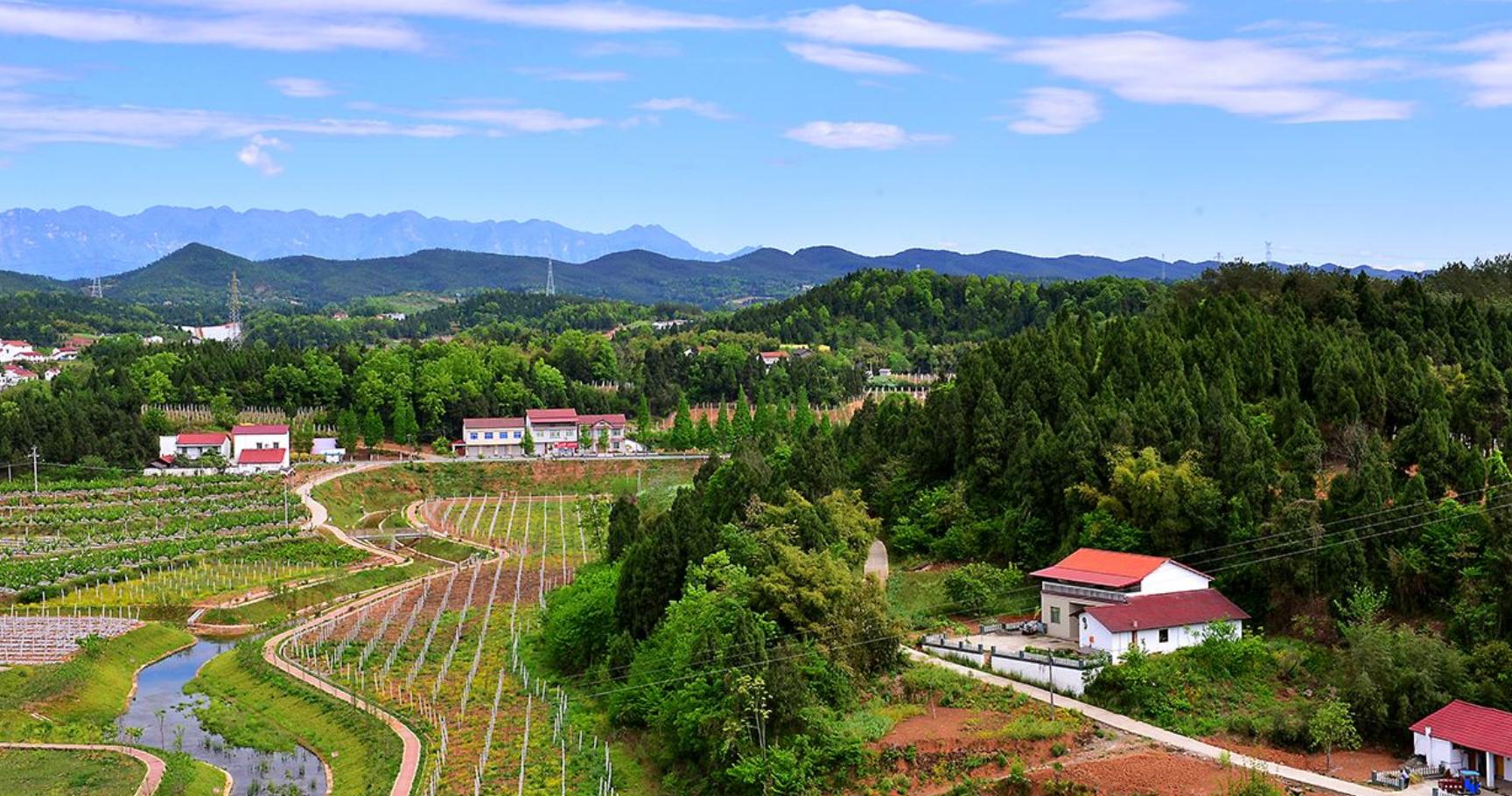 在农村利用信息差赚钱,在乡下靠脑子赚钱的路子
