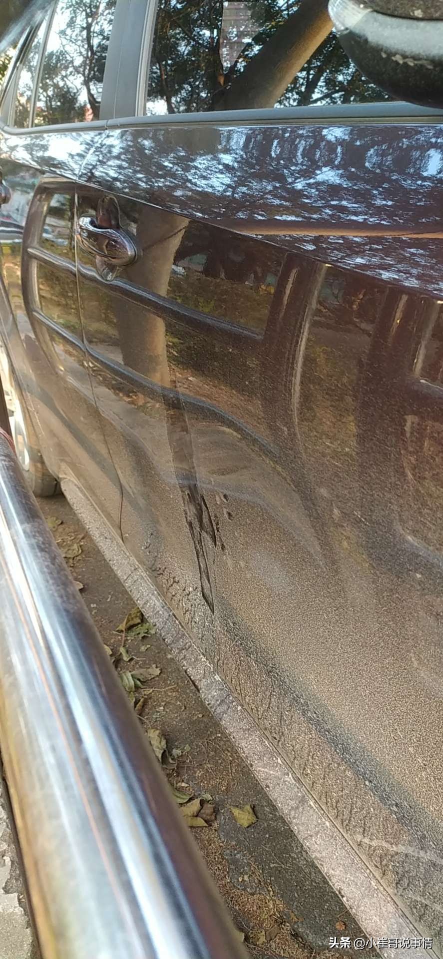 九儿挨打经历,九儿第一次打余占鳌