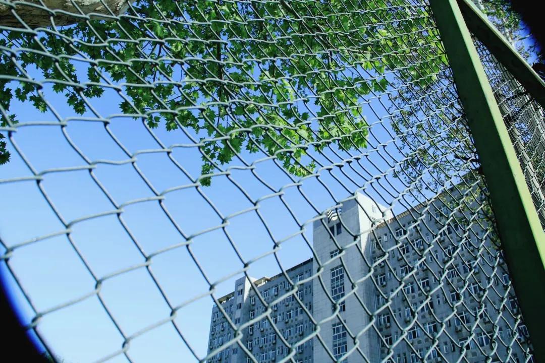 就业率99.24%！西部第一名校：走出42位两院院士，坐拥12大网红餐厅！