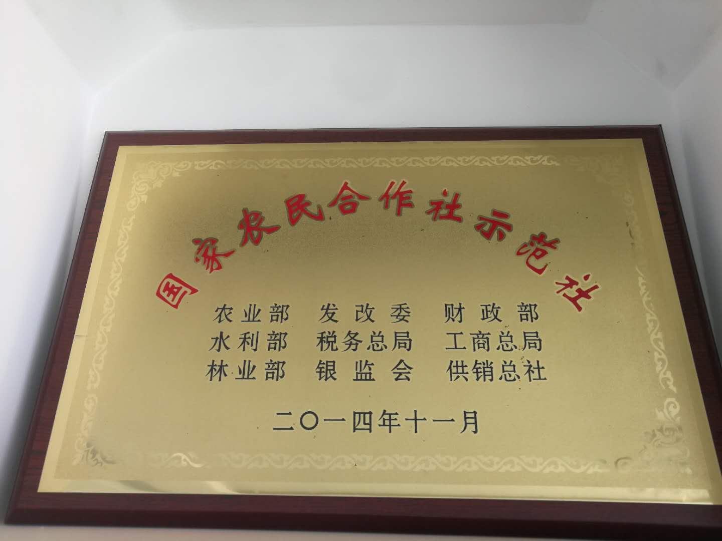 云南省通海县骄阳花卉种苗专业合作社风采（组图）