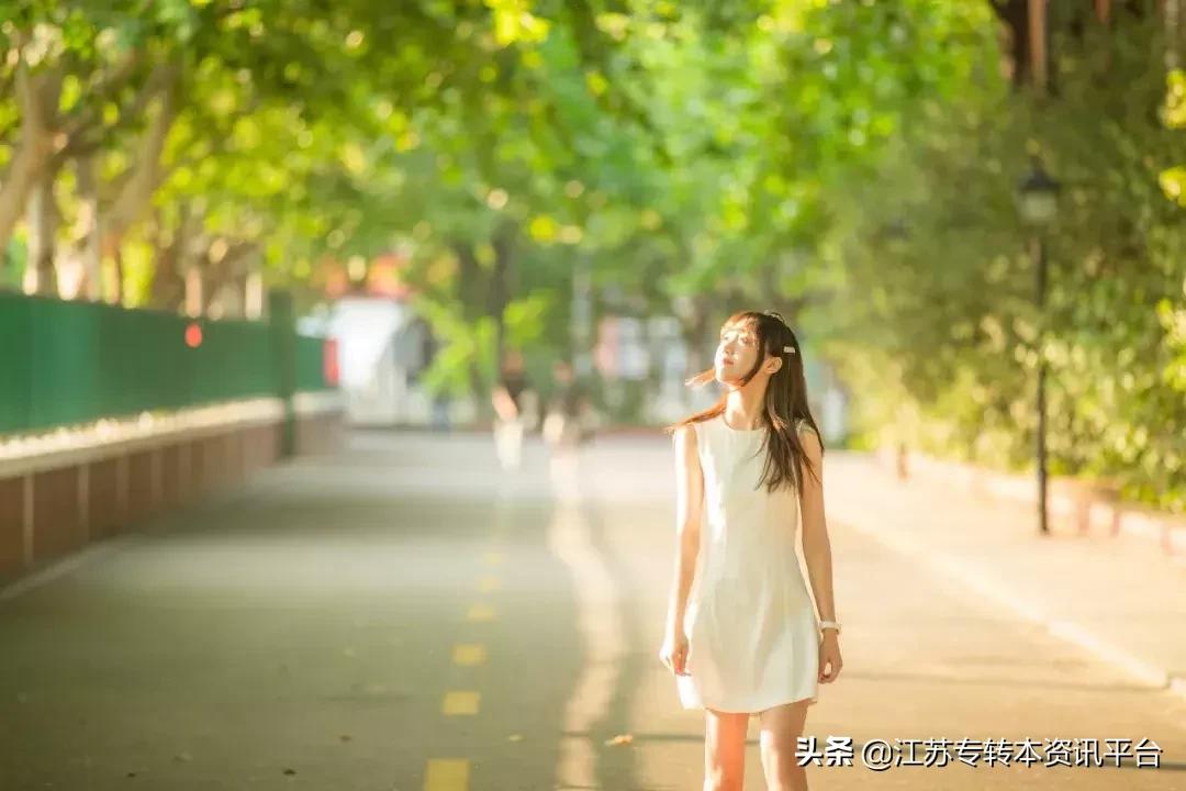 江苏专转本双一流院校,江苏三江学院