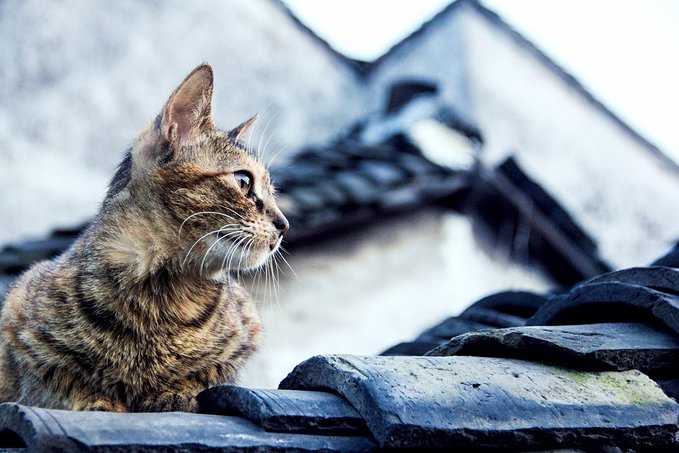 2019旅行目的地盘点,2019年12月3天旅行地推荐