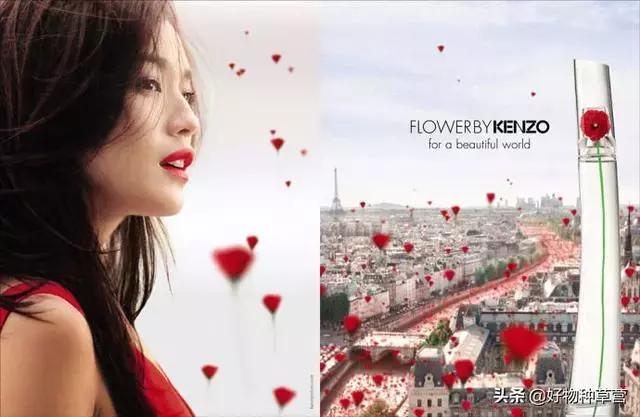 闻香识女人女士香水,入门级女士香水推荐