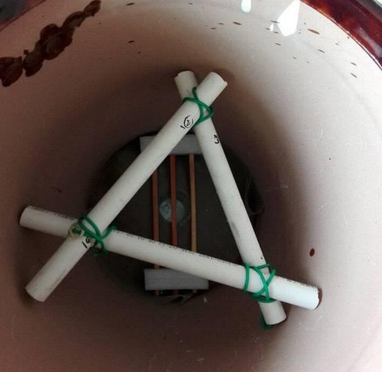 绿萝怎么样做才能好看呢,绿萝如何造型比较好看