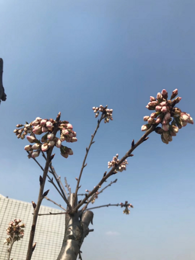 加盟服装品牌需要多少钱,1177服装加盟正规吗