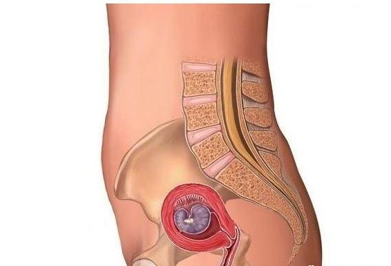 孕期发育全过程注意事项,孕期经验干货50件怀孕才知道的事