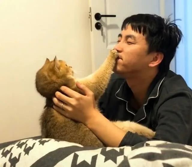 铲屎官请自重图,铲屎官请自重