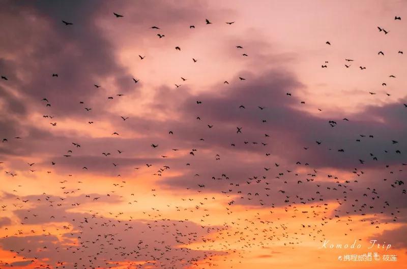 印尼巴厘岛有什么值得去的地方,印尼海岛巴厘岛