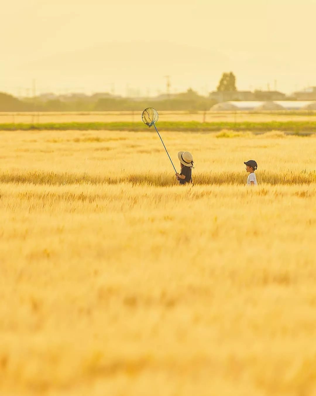 日本一爸爸拍摄女儿和儿子的照片火遍ins！我都想生娃了…