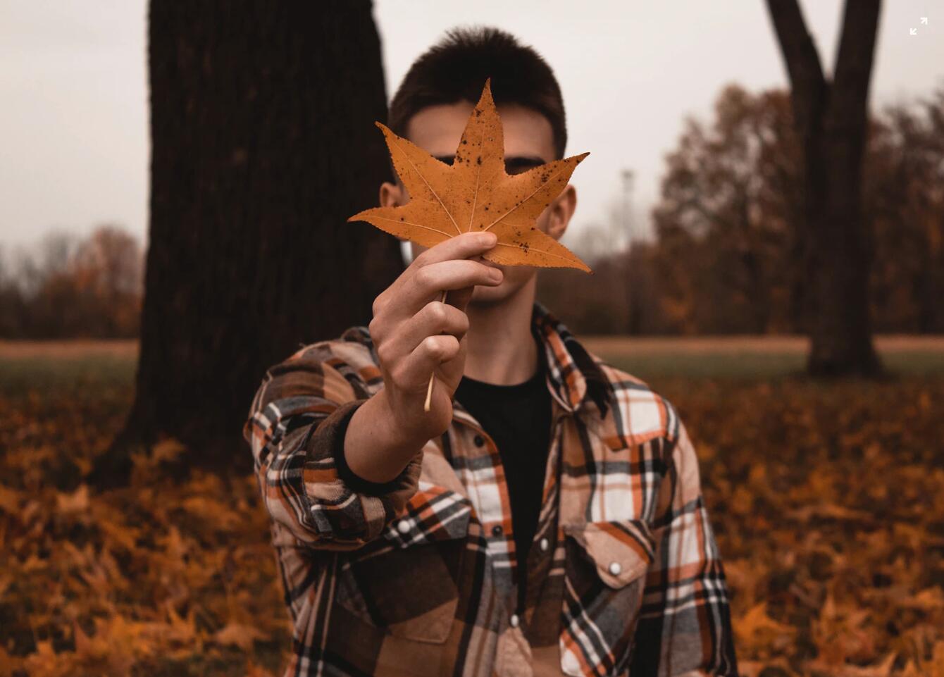 vans街头风格壁纸,vans秋日叠穿