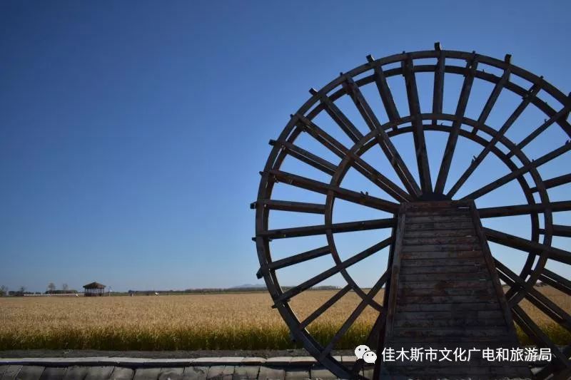 富锦万亩稻田秋收场景,富锦万亩稻田公园由来