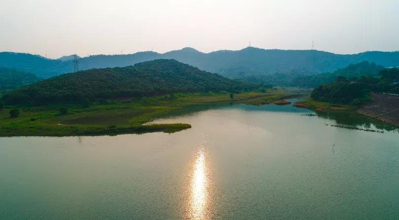 华为与龙华,霸气华为