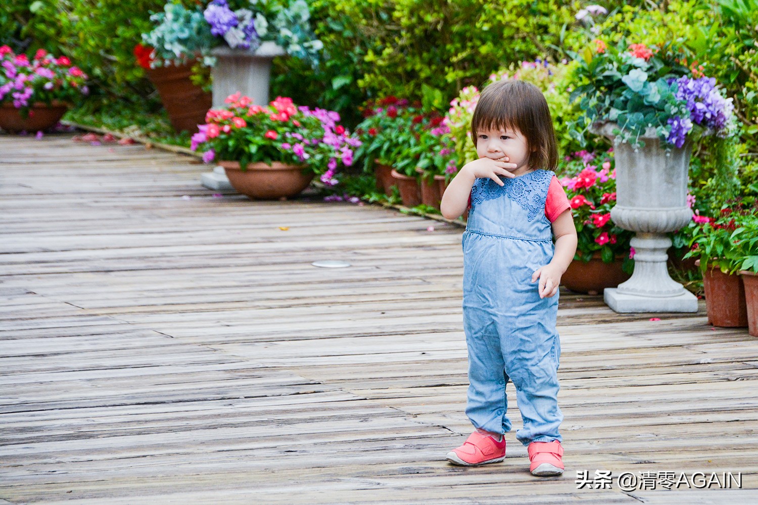 挖掘网红地x另类打卡挪亚方舟的文青路线