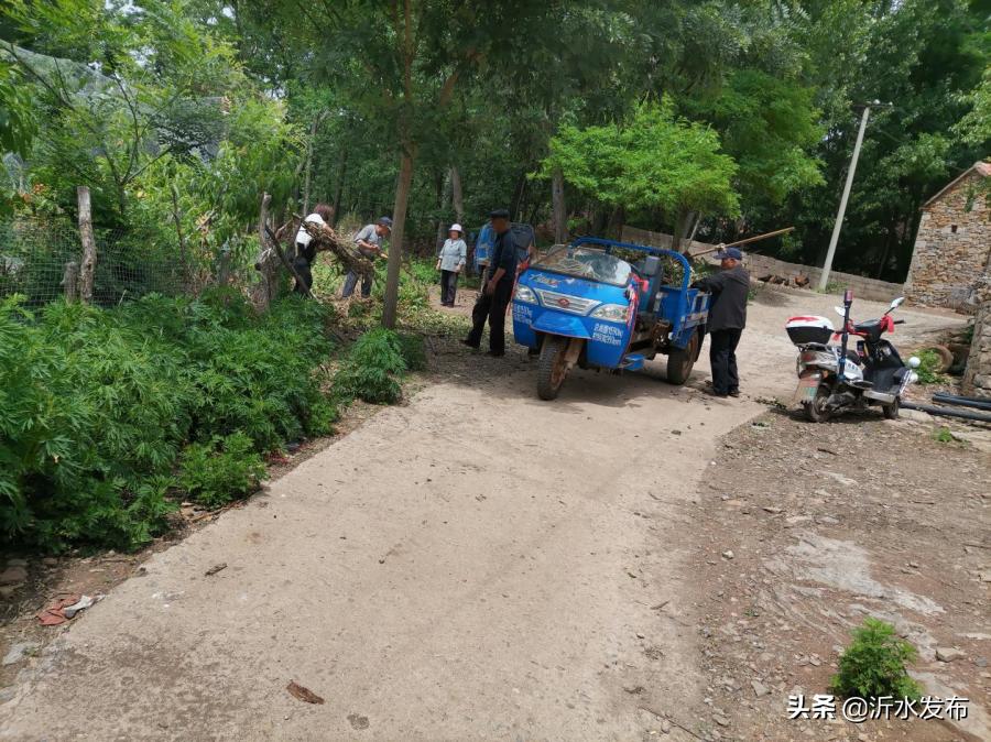临沂沂水美丽乡村建设,沂水县沂城街道美丽乡村