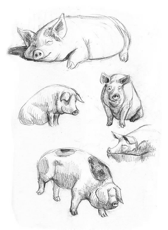 简笔画人物教程大全零基础成人,1000个适合零基础的简笔画教程