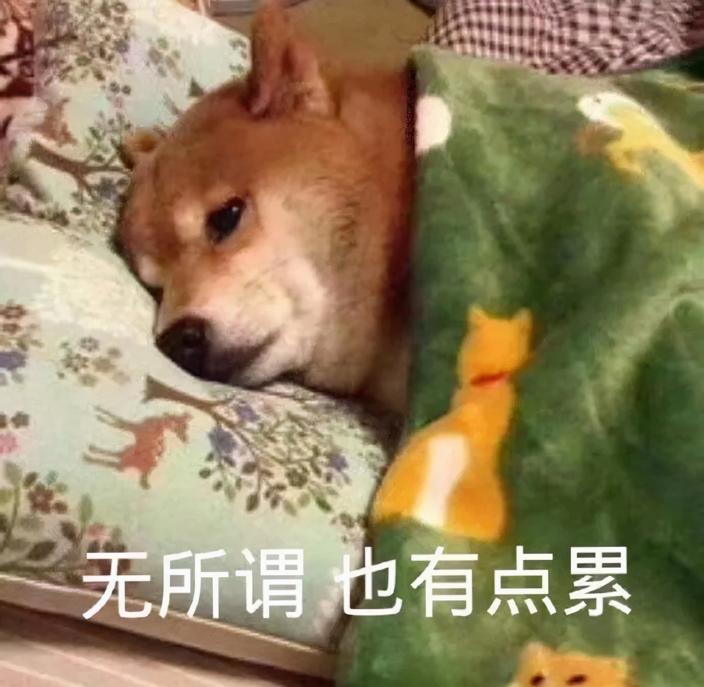 我找到了方法纯音乐,我找到了解决的最好办法翻译