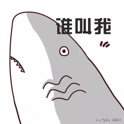 练鲨鱼线最有效果动作,鲨鱼线怎么练最快图解