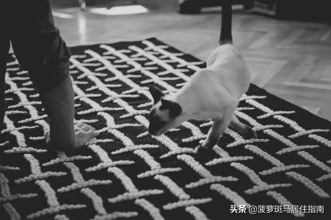 10万人正在抢的包包,宜家最新地毯