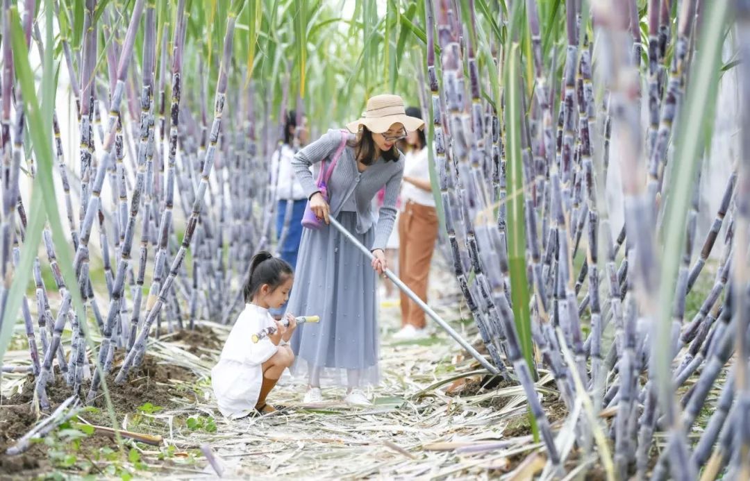 良安祥和庄园,古城祥和庄园
