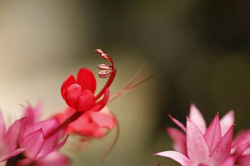 和爸妈录的视频,与爸妈的精彩对话