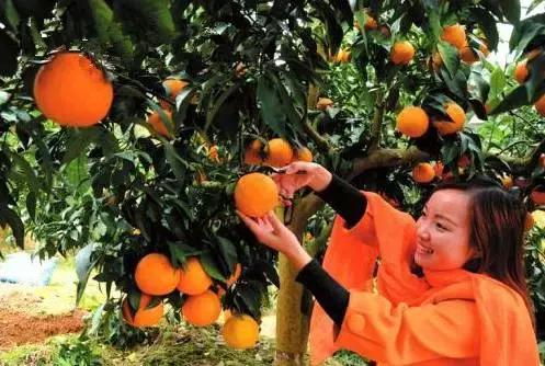 忠县美食大合集！它！很多忠县人都爱吃！没想到