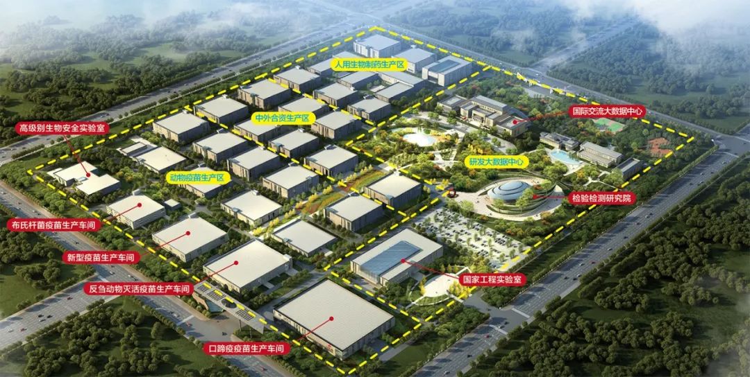 牛结节性皮肤病对人的影响,牛结节性皮肤病用什么消毒