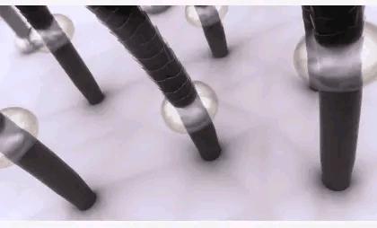 海飞丝和飘柔洗发水哪个是国货,海飞丝日本进口洗发水