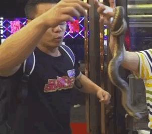 顺德伦教水蛇粥电话,伦教肥仔水蛇粥