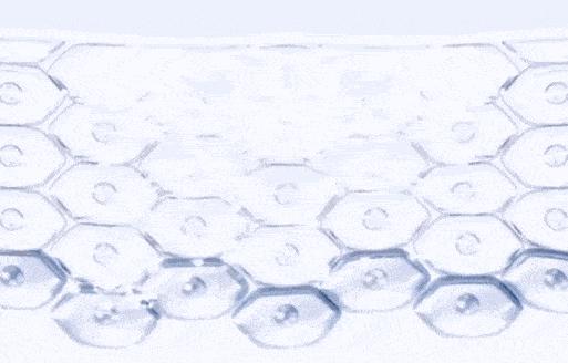 egf冻干粉鉴定,如何判断冻干粉是不是afgf的