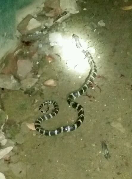 鬼门关跑了一圈,鬼门关里跑了一圈