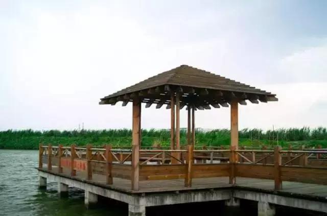 广州的这8个小岛，人少又免费，适合大小情侣的去处