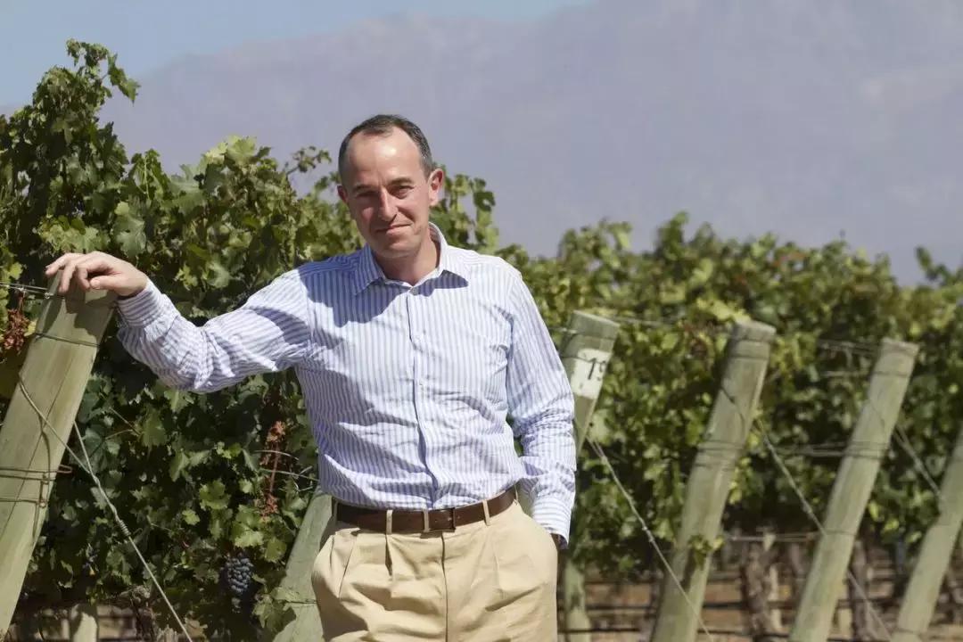 拉菲酒为什么这么便宜多少钱一瓶,比较便宜的拉菲