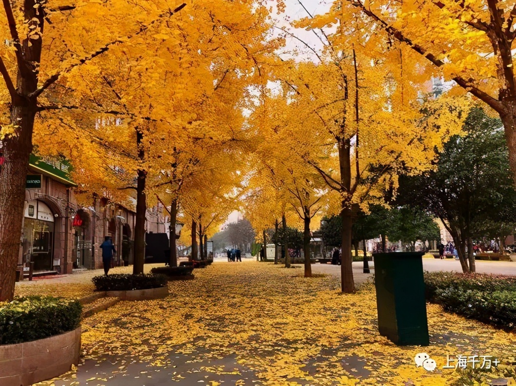 古北在售公寓,古北现在有人吗