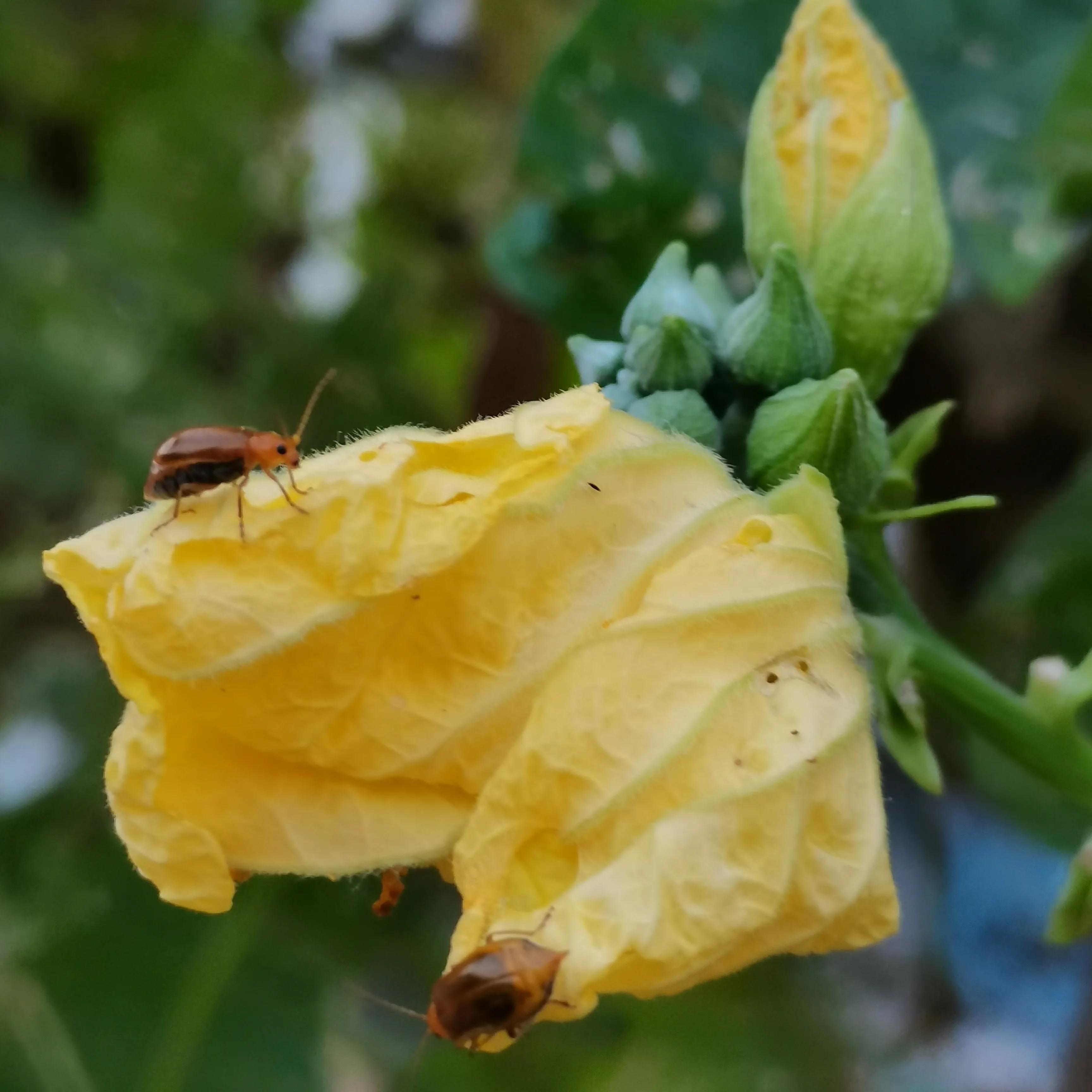 写出你最想从事的职业,请列举出三种你非常感兴趣的职业