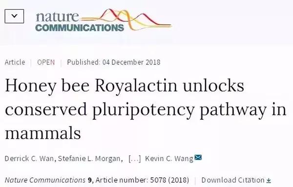 蜂王浆吃多了对身体有什么影响,蜂王浆吃多了对身体有害吗