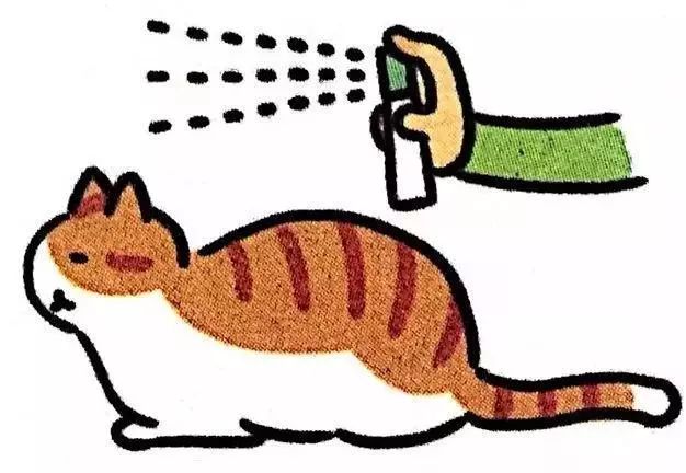 给猫梳毛能防止掉毛吗,给猫梳毛为什么猫会舒服